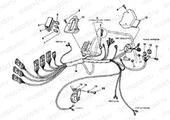 WIRING HARNESS » WIRING HARNESS