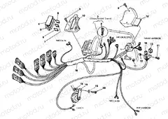 WIRING HARNESS » WIRING HARNESS