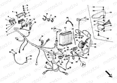 WIRING HARNESS » WIRING HARNESS