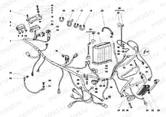 WIRING HARNESS » WIRING HARNESS