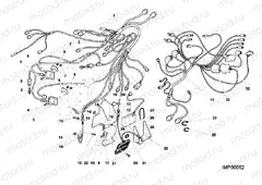 WIRING HARNESS » WIRING HARNESS