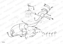 WIRING HARNESS » WIRING HARNESS