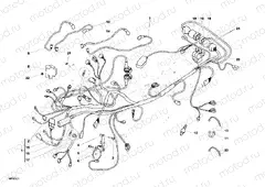 WIRING HARNESS » WIRING HARNESS