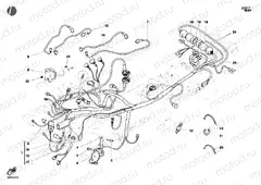 WIRING HARNESS » WIRING HARNESS