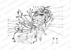 WIRING HARNESS » WIRING HARNESS