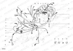 WIRING HARNESS » WIRING HARNESS