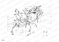 WIRING HARNESS » WIRING HARNESS