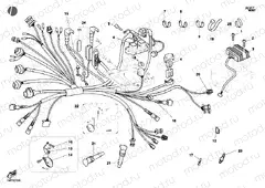 WIRING HARNESS » WIRING HARNESS