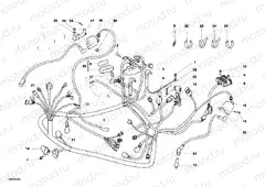 WIRING HARNESS » WIRING HARNESS