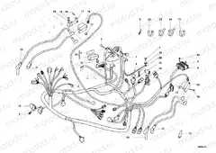 WIRING HARNESS » WIRING HARNESS