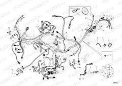 WIRING HARNESS » WIRING HARNESS