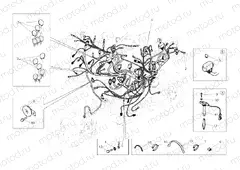 WIRING HARNESS » WIRING HARNESS