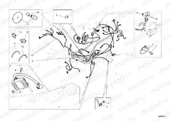 WIRING HARNESS » WIRING HARNESS
