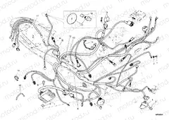 WIRING HARNESS » WIRING HARNESS