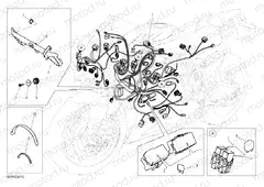 WIRING HARNESS » WIRING HARNESS