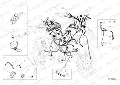 WIRING HARNESS » WIRING HARNESS