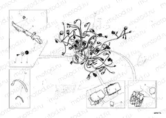 WIRING HARNESS » WIRING HARNESS