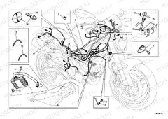 WIRING HARNESS » WIRING HARNESS