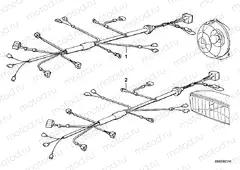 Wiring horn scale officials light loe