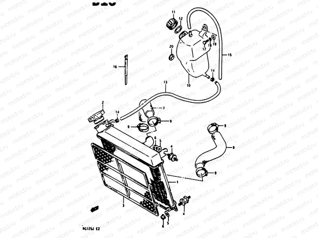 10 - RADIATOR