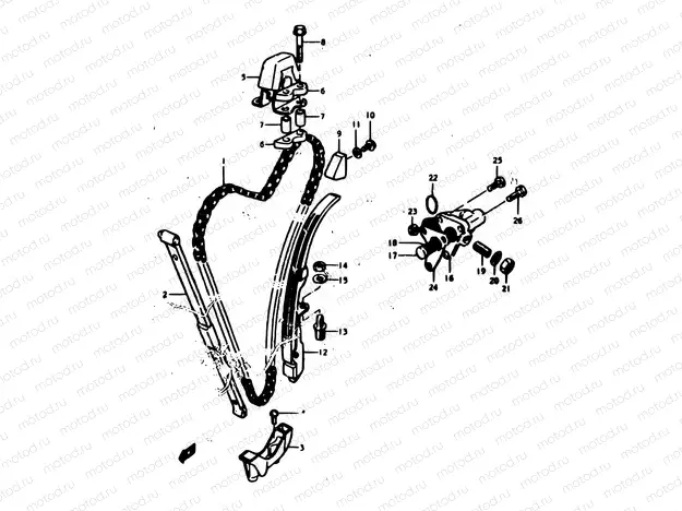 11 - CAM CHAIN
