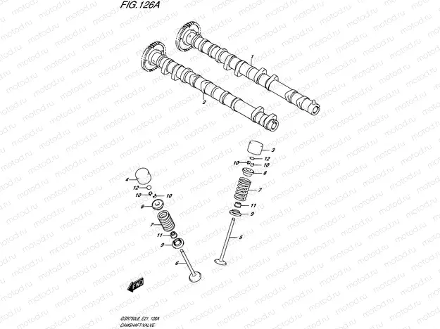 126A - CAMSHAFT/VALVE