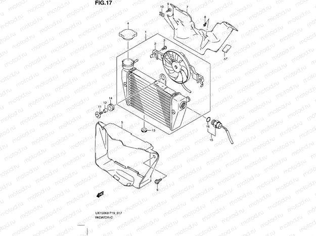 17 - RADIATOR