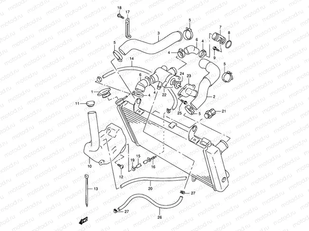 17 - RADIATOR HOSE
