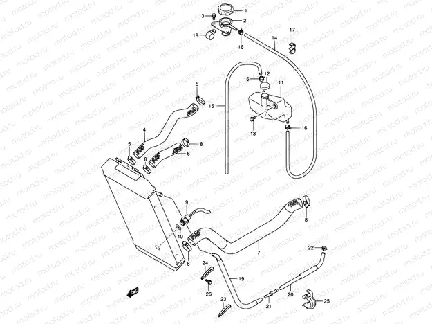 17 - RADIATOR HOSE