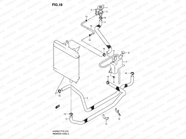 18 - RADIATOR HOSE