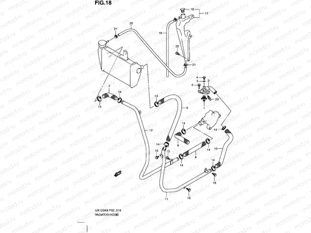 18 - RADIATOR HOSE