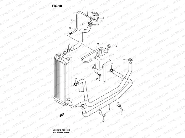 18 - RADIATOR HOSE