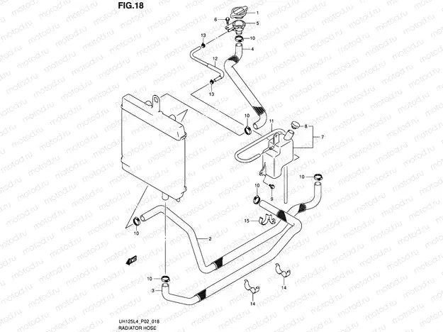 18 - RADIATOR HOSE