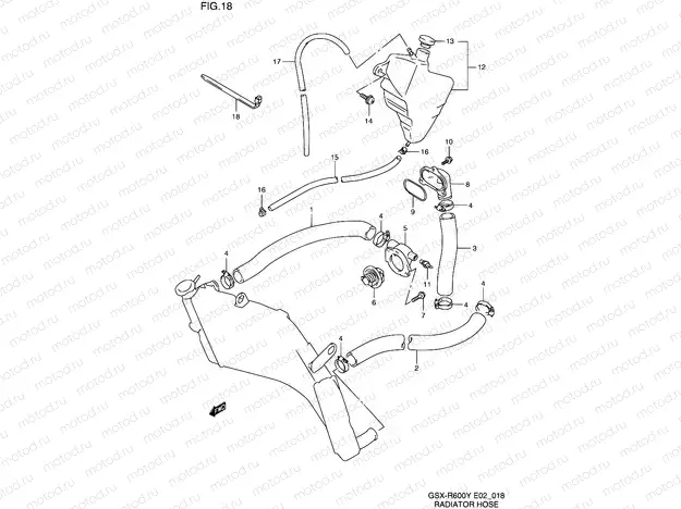 18 - RADIATOR HOSE