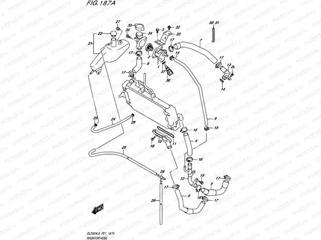 187A - RADIATOR HOSE