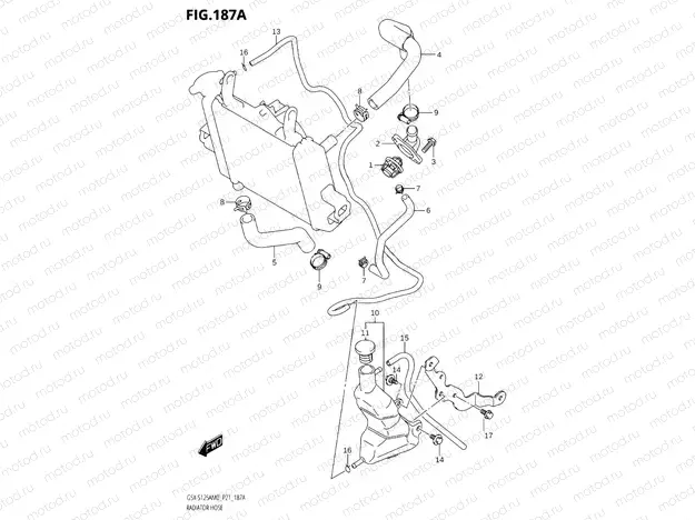 187A - RADIATOR HOSE
