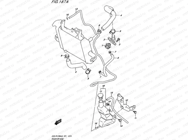 187A - RADIATOR HOSE