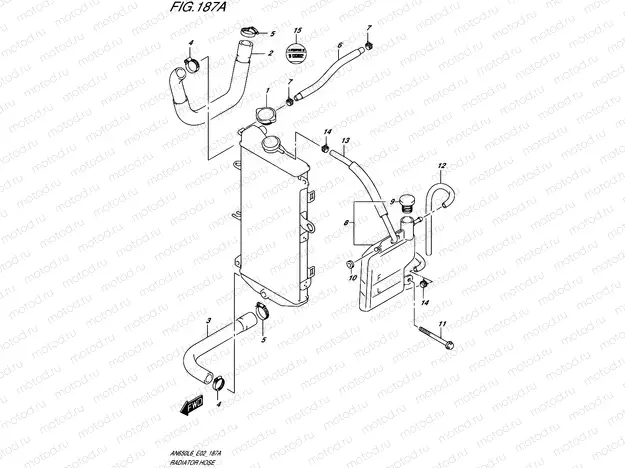 187A - RADIATOR HOSE (AN650L6 E19)