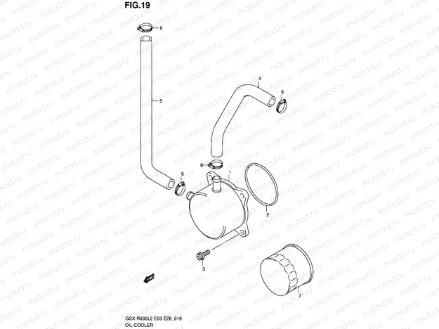 19 - OIL COOLER