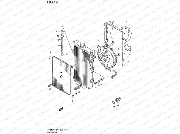 19 - RADIATOR