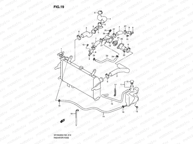 19 - RADIATOR HOSE