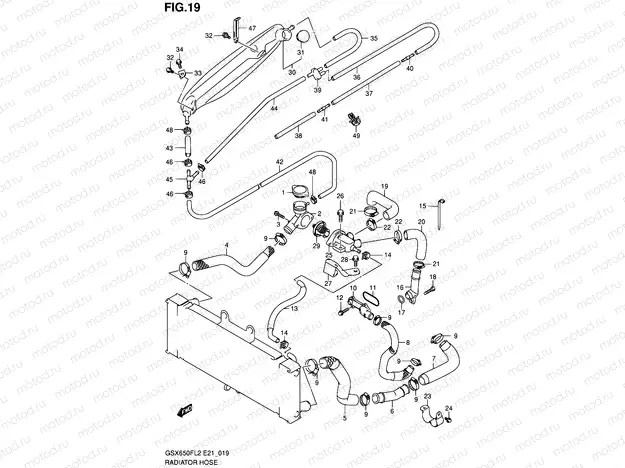 19 - RADIATOR HOSE