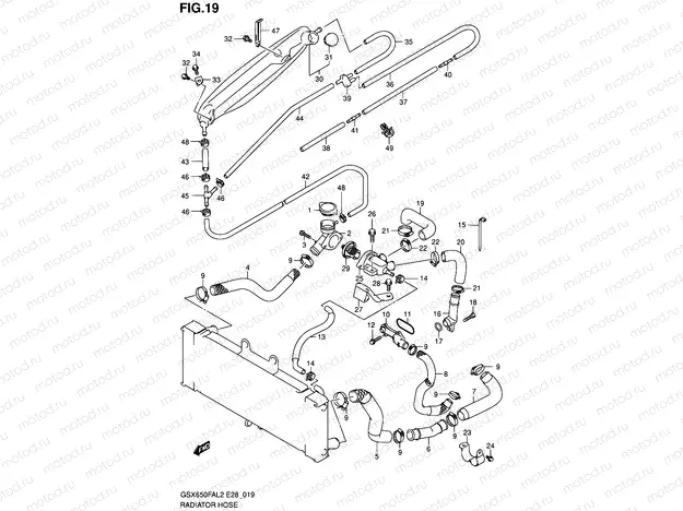 19 - RADIATOR HOSE