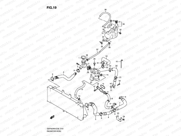 19 - RADIATOR HOSE