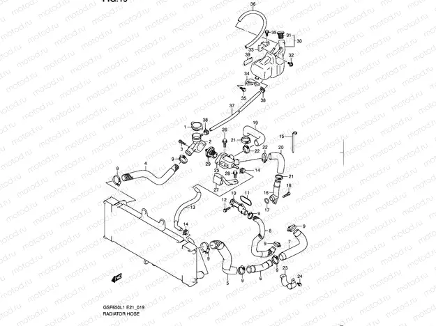 19 - RADIATOR HOSE
