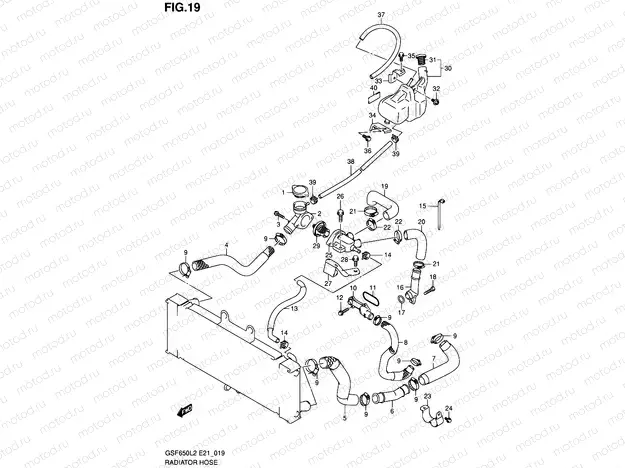 19 - RADIATOR HOSE