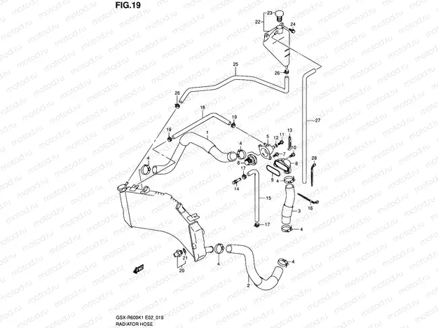 19 - RADIATOR HOSE