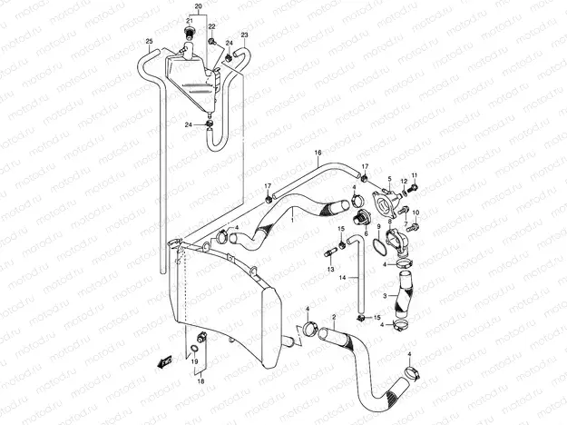 19 - RADIATOR HOSE