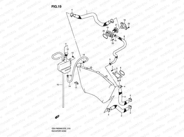 19 - RADIATOR HOSE