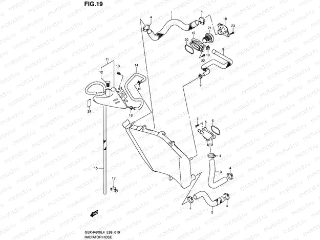 19 - RADIATOR HOSE